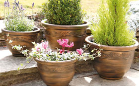 Patio Planters, Pots & Containers