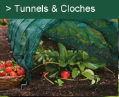 Tunnels & Cloches