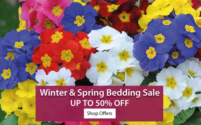 Winter & Spring Bedding Sale