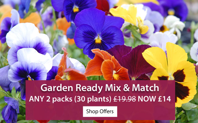 Garden Ready Mix & Match