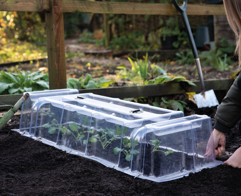 Mini Greenhouse Cloche