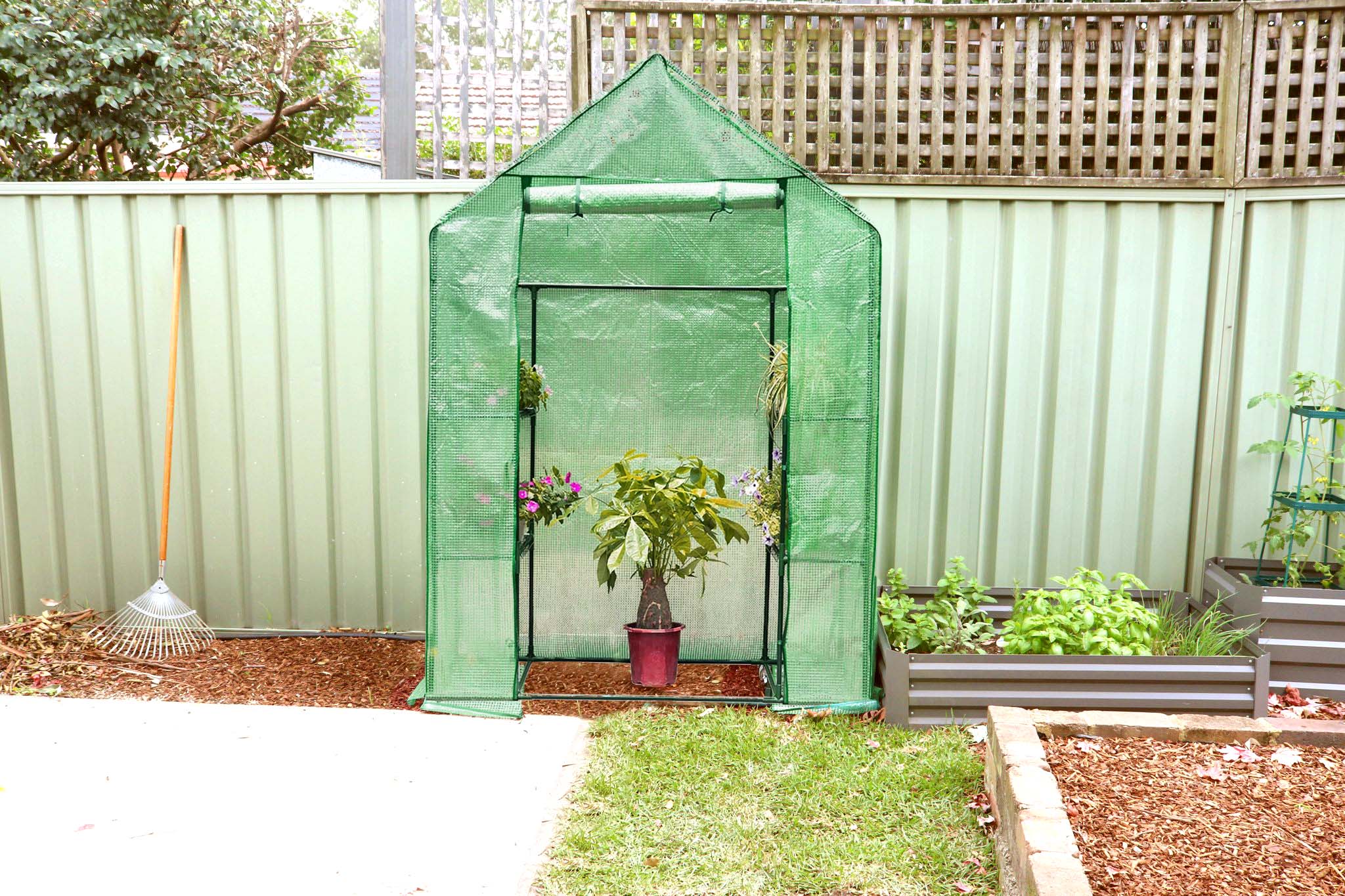 idooka Pop-Up Plastic Greenhouses Thompson  Morgan