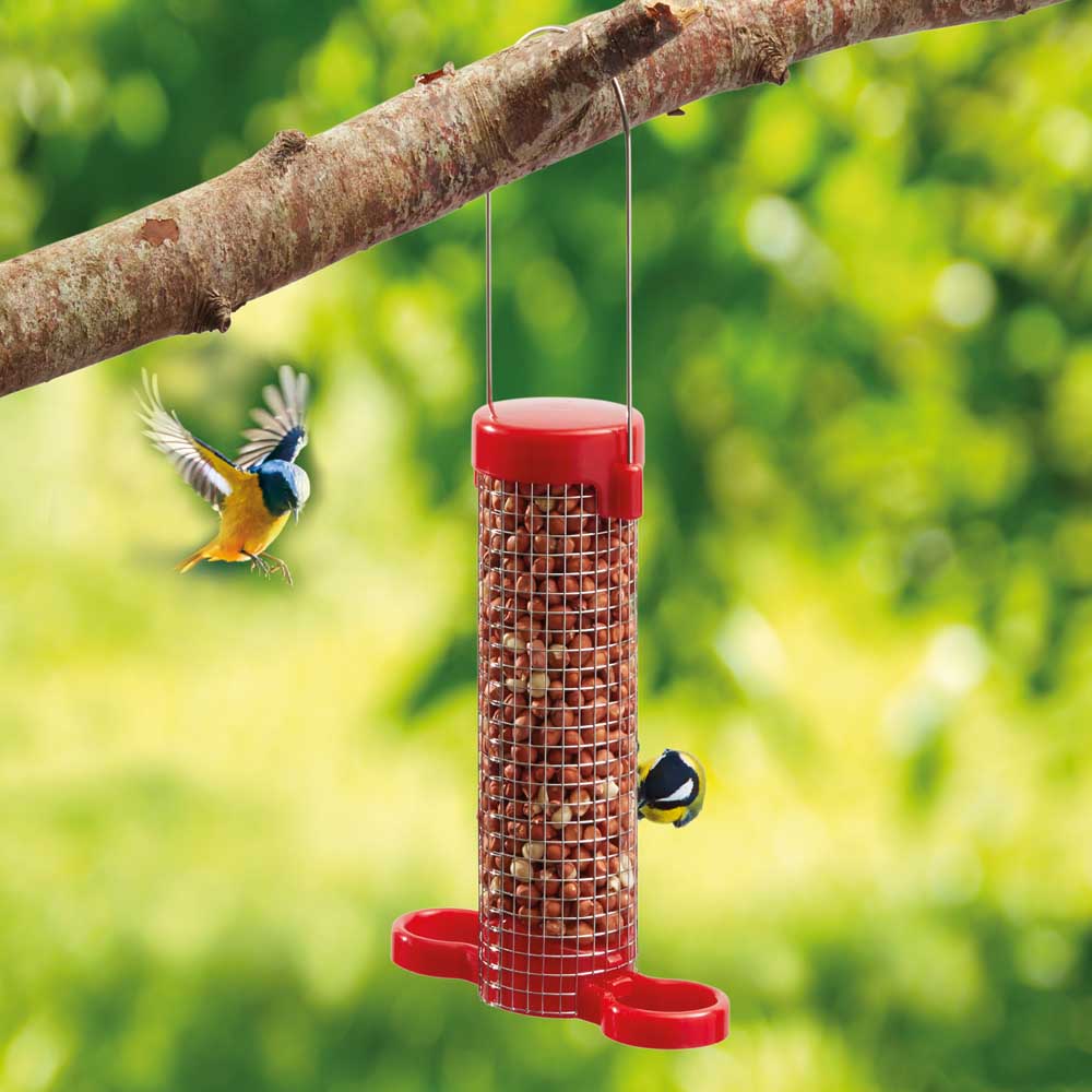 Get Set Go 2 Port Peanut Feeder | Thompson & Morgan