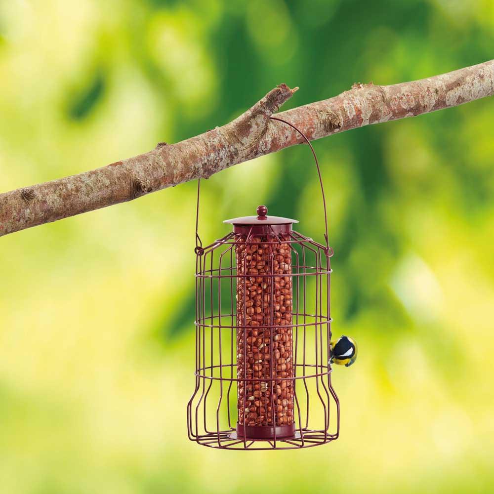 nature's market squirrel proof bird feeders