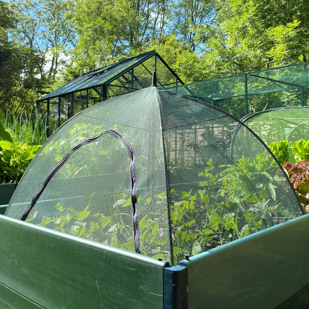 Pop n Crop Square Plant Umbrella & Raised Bed 1x1m
