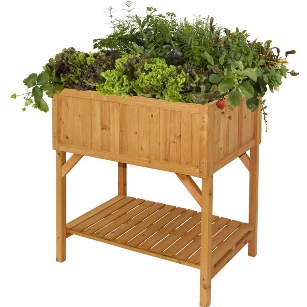 VegTrug Raised Bed Planter | Thompson & Morgan