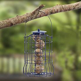 Nature S Market Wild Bird Suet Ball Feeder With Squirrel Guard