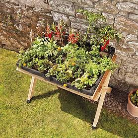 Veg Planters, Grow Trugs & Raised Beds | Thompson & Morgan