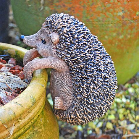 Pot Hanging Hedgehog Garden Ornament | Thompson & Morgan