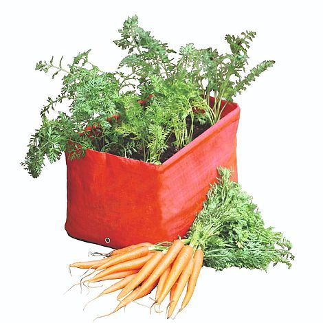 Carrot Planters (Twin Pack) | Thompson & Morgan