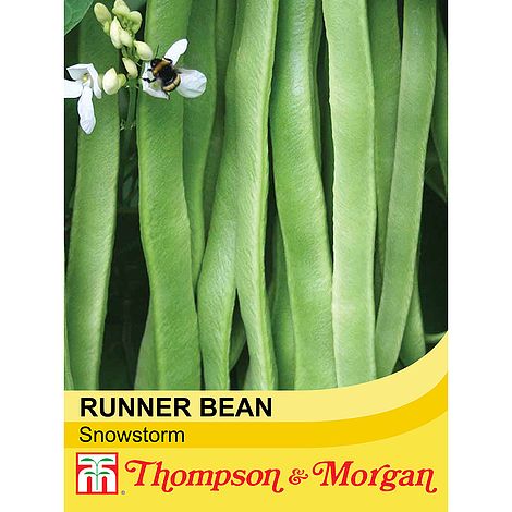 Runner Bean 'Snowstorm' seeds | Thompson & Morgan