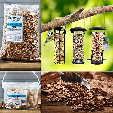 Bird Feeder Triple Pack and Feed Bundle - Gift