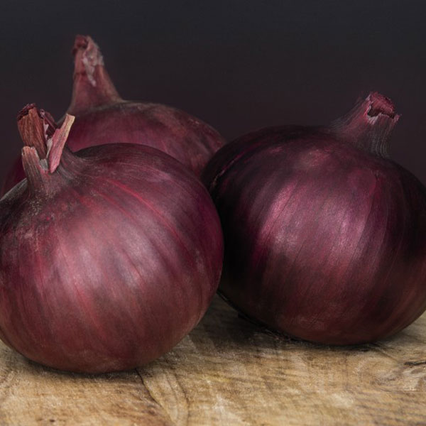 Onion 'Keravel Pink' (Spring)