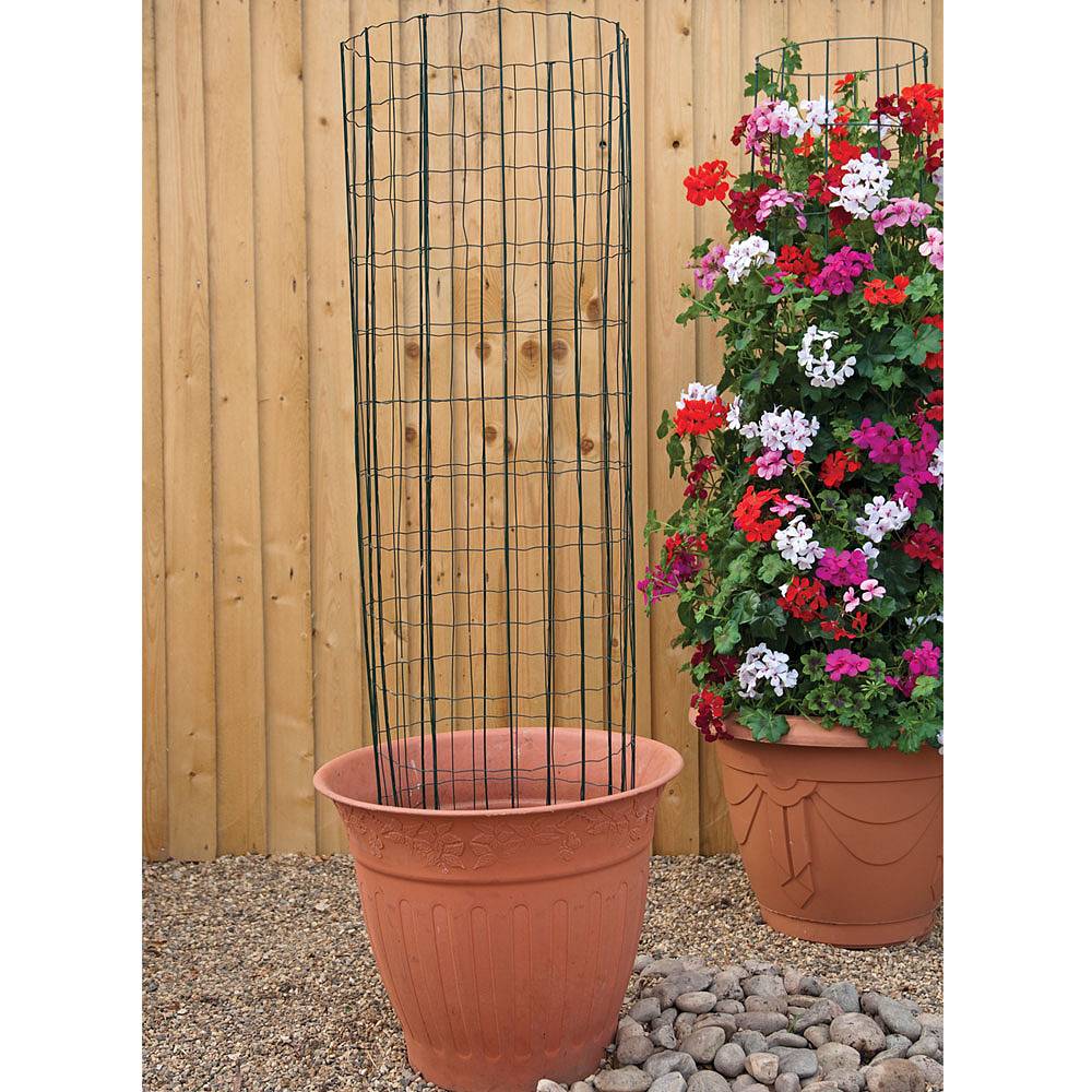 Climbing Frame Plant Support Thompson &