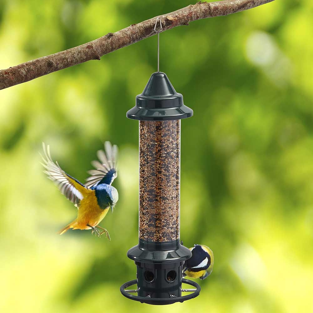 Squirrel Buster Plus - Bird Feeder - 3 Litres | Thompson & Morgan