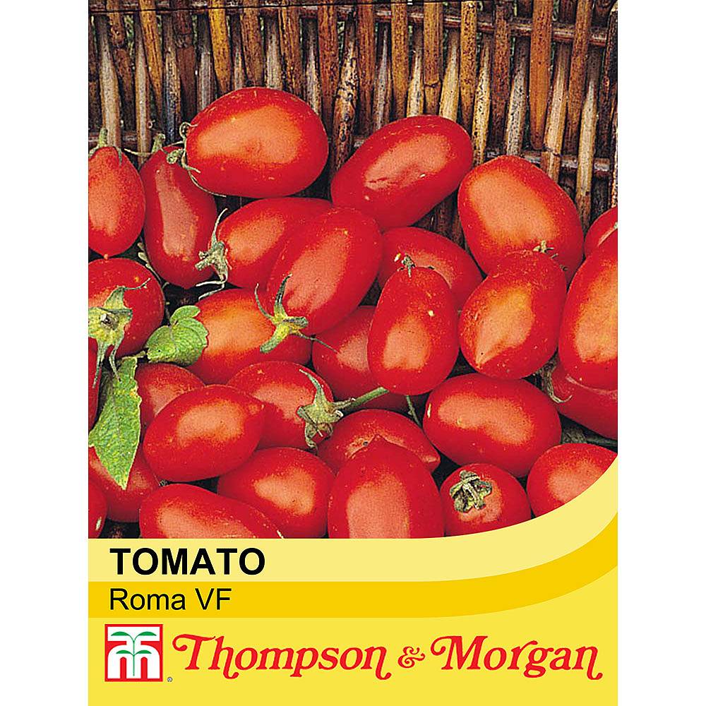 Tomato 'Roma VF' seeds | Thompson & Morgan