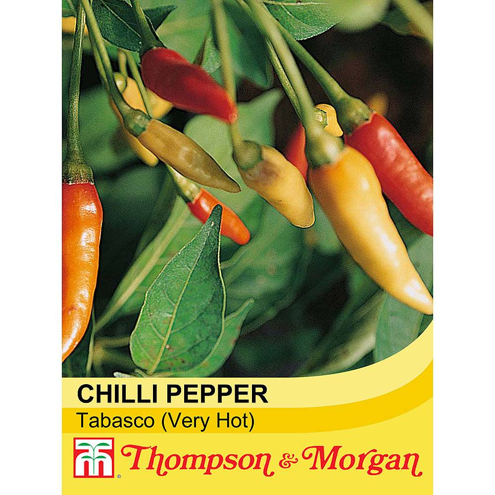 Chilli Pepper 'Tabasco' (Very Hot) seeds | Thompson & Morgan