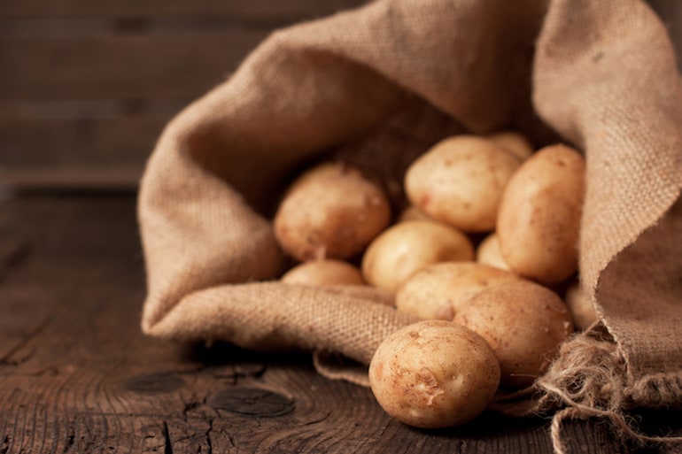 jersey royal seed potatoes for sale
