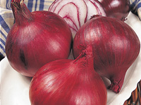 Onion Electric