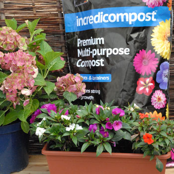 peat free compost