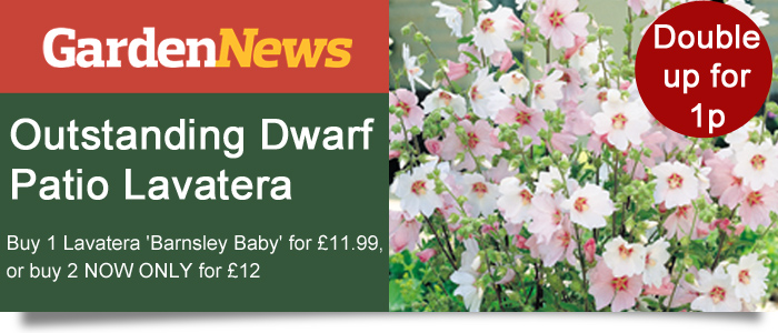 Garden News Offers