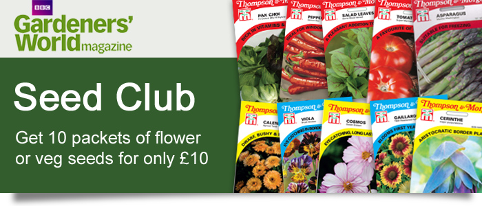 10 packets of seed for £10