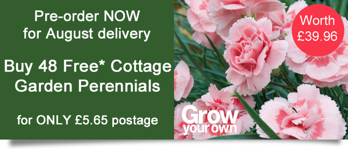 Grow Your Own Offers