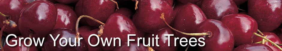 Grow Your Own Fruit Trees