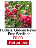 Fuchsia Garden News