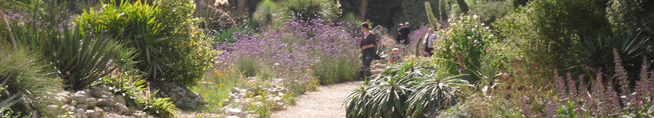 Gardens to visit in the UK