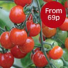 Value Seeds - from just 69p a packet