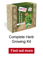 complete herb grwing kit