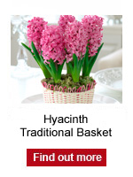 Hyacinth Traditional Basket