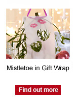 Mistletoe in Gift Wrap