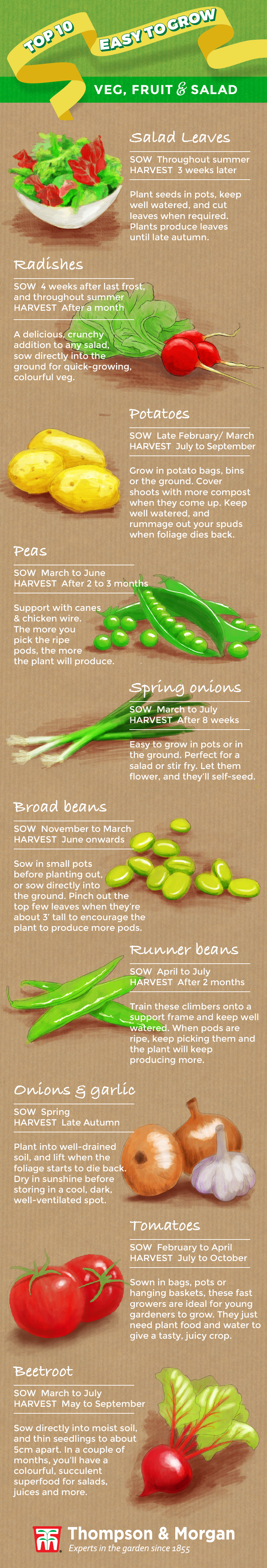 easy to grow vegetables        <h3 class=