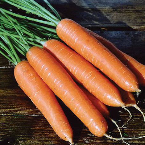 Carrot 'Eskimo' F1 Hybrid