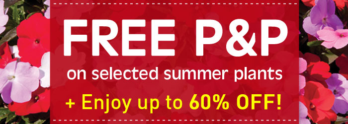 FREE P&P on selected summer plants + up to 60% OFF | Thompson & Morgan