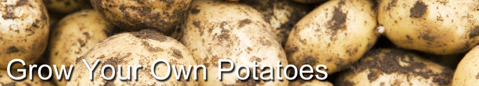 Grow Your Own Potatoes