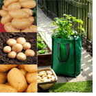 Potato Patio Planter Collection - Save �6.47