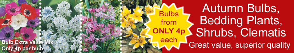 Bulbs, bedding plants, shrubs, clematis