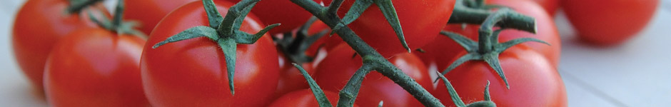 tomatoes banner