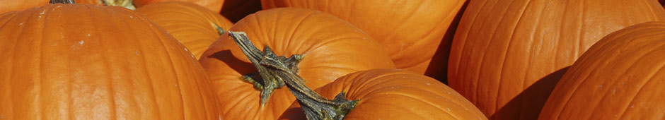 national pumpkin sowing day banner