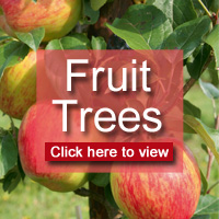 Click here to view all fruit trees