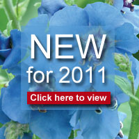 NEW PRODUCTS FOR 2011 - Click here to view