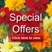 Click here to view our latest special offers