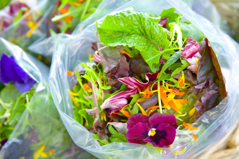 4-Course Guide to Edible Flowers for Your Garden