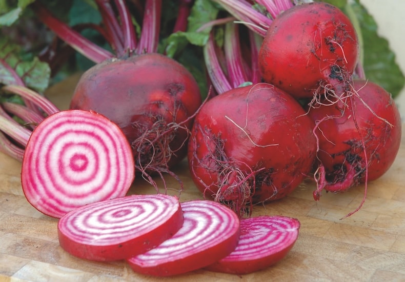 Handful of beetroot freshly harvested