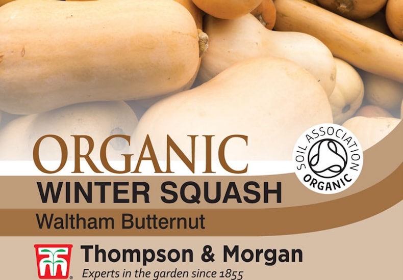 Seed packet of organic butternut squash
