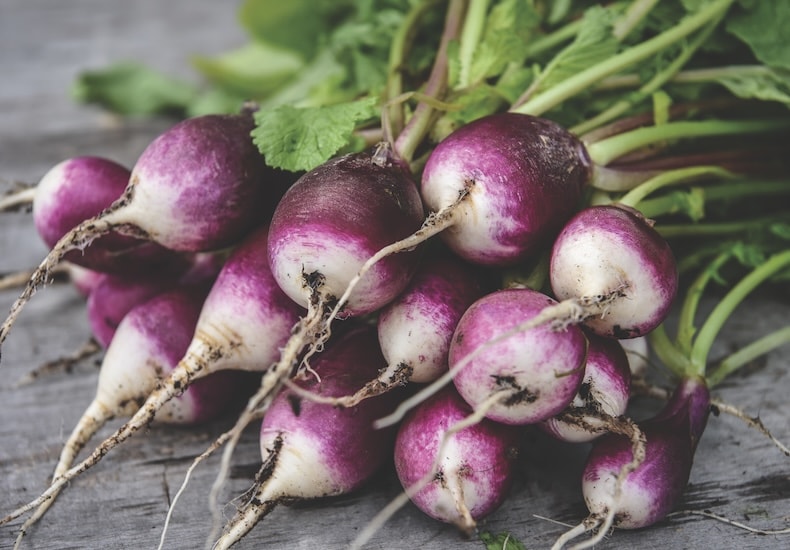 A collection of fourteen purple and white radishes on wood, freshly harvested with soil still on the roots