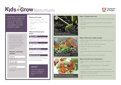 growing nasturtiums with kids pdf